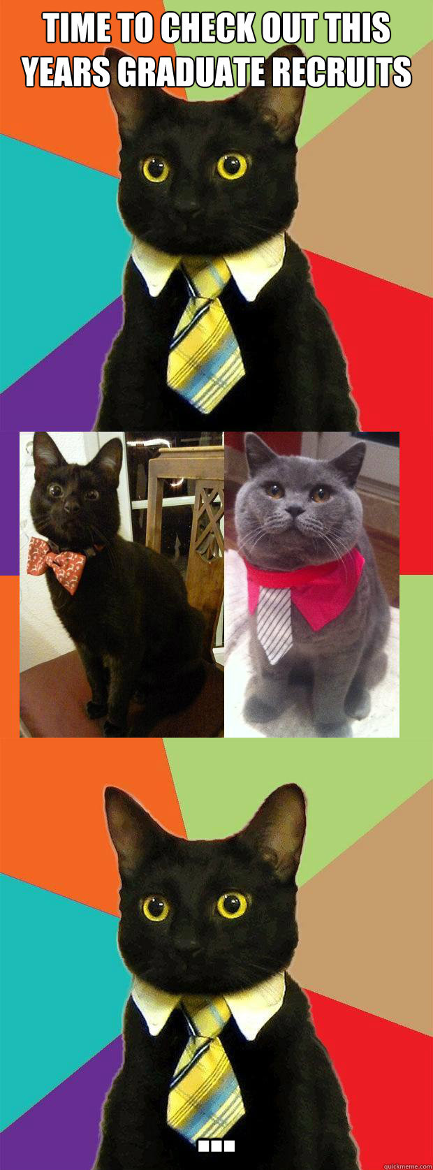 Time to check out this years graduate recruits ...  Business Cat