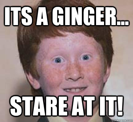 its a ginger... stare at it!  Over Confident Ginger