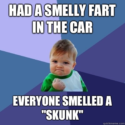 Had a smelly fart in the car Everyone smelled a 