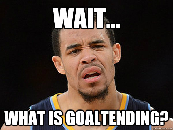 Wait... What is goaltending?  JaVale McGee