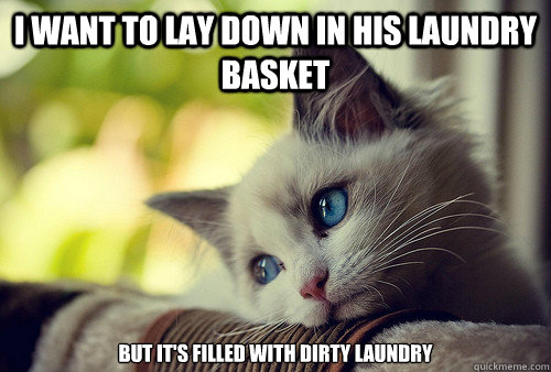 I want to lay down in his laundry basket But it's filled with dirty laundry  First World Problems Cat
