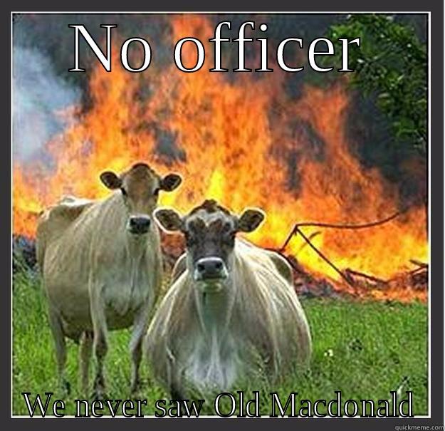 NO OFFICER WE NEVER SAW OLD MACDONALD Evil cows