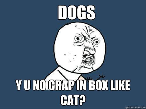 Dogs y u no crap in box like cat?  Y U No