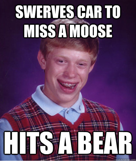 Swerves car to  miss a moose Hits a bear  Bad Luck Brian