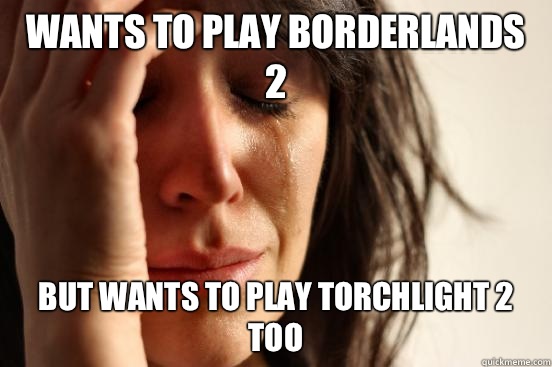 Wants to play Borderlands 2  But Wants to play torchlight 2 too   First World Problems