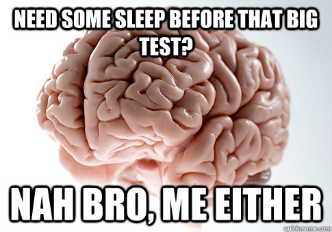Need some sleep before that big test? Nah bro, Me either - Need some sleep before that big test? Nah bro, Me either  Scumbag Brain