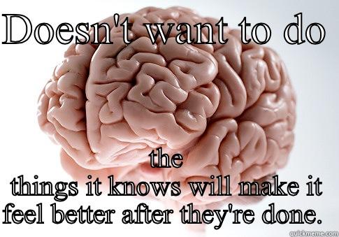 DOESN'T WANT TO DO  THE THINGS IT KNOWS WILL MAKE IT FEEL BETTER AFTER THEY'RE DONE.  Scumbag Brain
