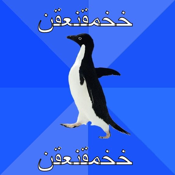 خخمقنعقن خخمقنعقن Socially Awkward Penguin