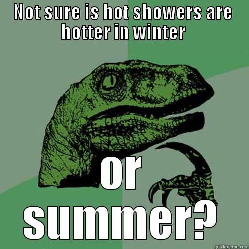 NOT SURE IS HOT SHOWERS ARE HOTTER IN WINTER OR SUMMER? Philosoraptor
