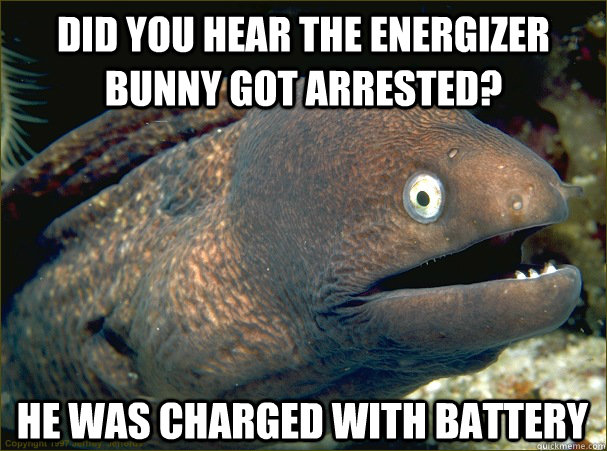 did you hear the energizer bunny got arrested? he was charged with battery  Bad Joke Eel