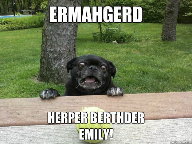 Ermahgerd HERPER BERTHDER 
EMILY!  Berks Dog