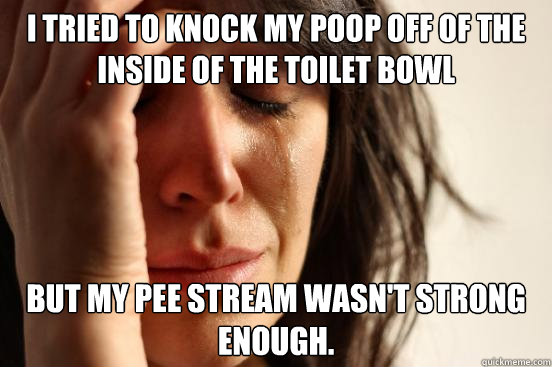 I tried to knock my poop off of the inside of the toilet bowl But my pee stream wasn't strong enough.  First World Problems