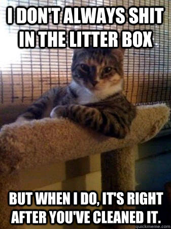 I don't always shit in the litter box but when I do, it's right after you've cleaned it.  The Most Interesting Cat in the World