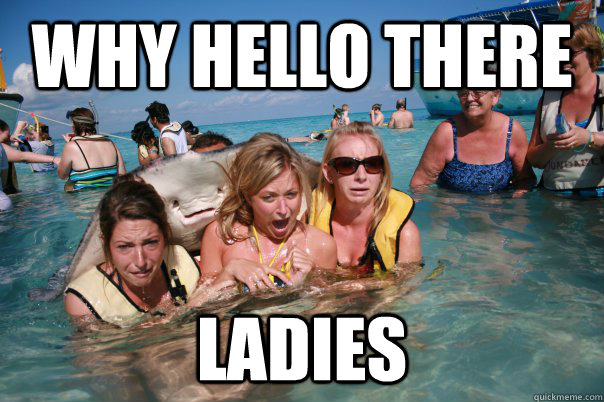 why hello there LADIES - why hello there LADIES  Creeper Stingray
