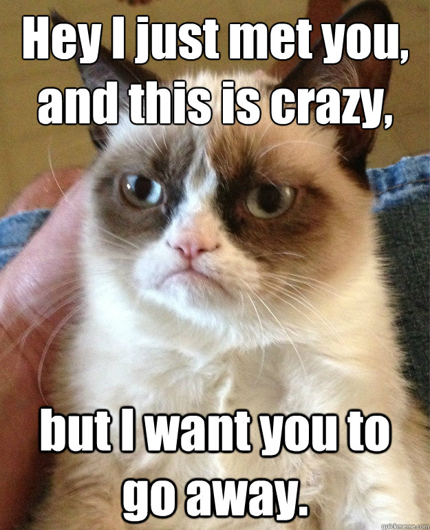 Hey I just met you,
and this is crazy, but I want you to go away.  Angry Cat