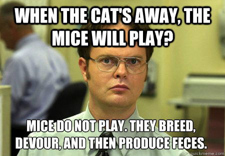 When the cat's away, the mice will play? Mice do not play. They breed, devour, and then produce feces.  Dwight