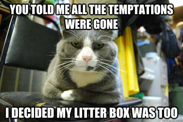 You told me all the temptations were gone I decided my litter box was too - You told me all the temptations were gone I decided my litter box was too  Misc