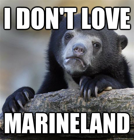 I don't love Marineland  Confession Bear