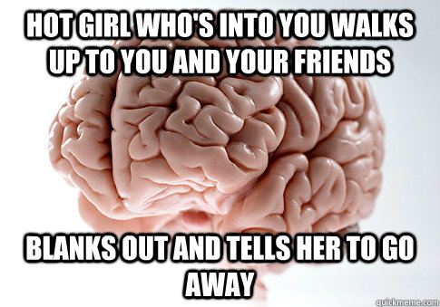 Hot girl who's into you walks up to you and your friends blanks out and tells her to go away  Scumbag Brain