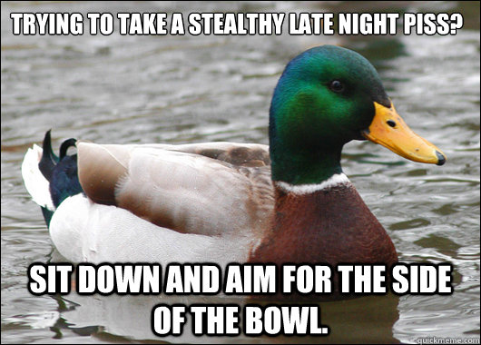 Trying to take a stealthy late night piss? Sit down and aim for the side of the bowl.  Actual Advice Mallard