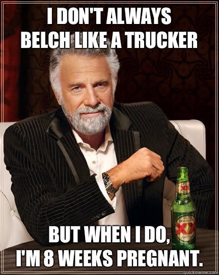 I don't always 
belch like a trucker But when I do,
I'm 8 weeks pregnant.  Dos Equis man