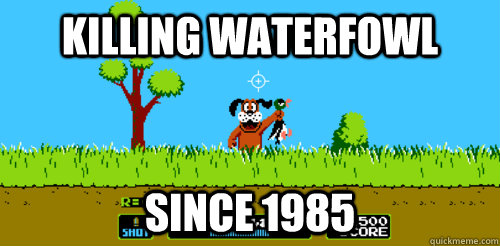 Killing waterfowl since 1985  Duck Hunt