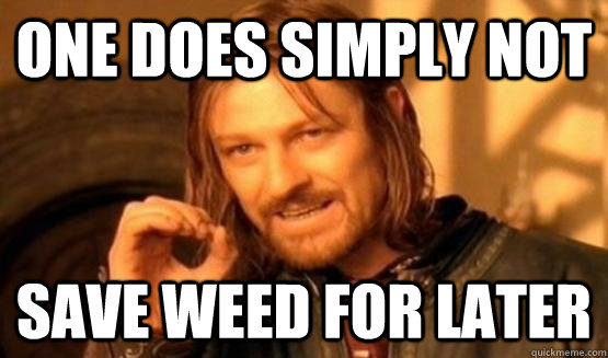 One does simply not save weed for later  One does simply not beat hawthorn in tasmania