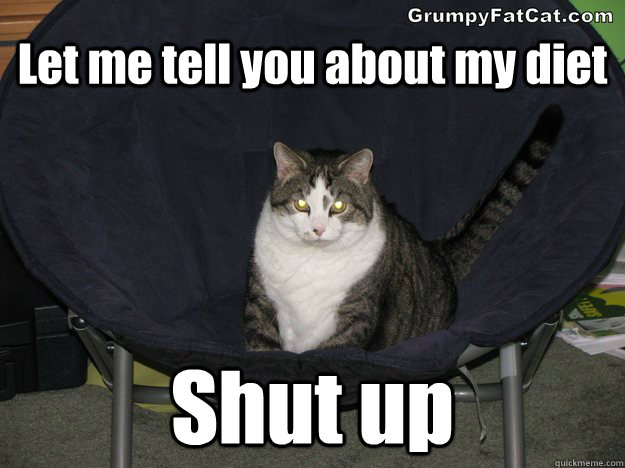 Let me tell you about my diet Shut up  Grumpy Fat Cat