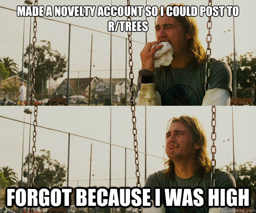 Made a novelty account so i could post to r/trees Forgot because I was high  First World Stoner Problem