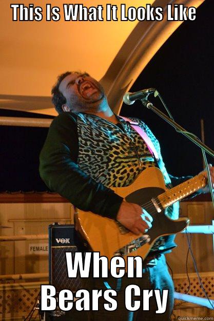 THIS IS WHAT IT LOOKS LIKE  WHEN BEARS CRY Misc