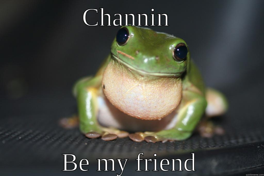 Froggy boggy - CHANNIN  BE MY FRIEND Misc