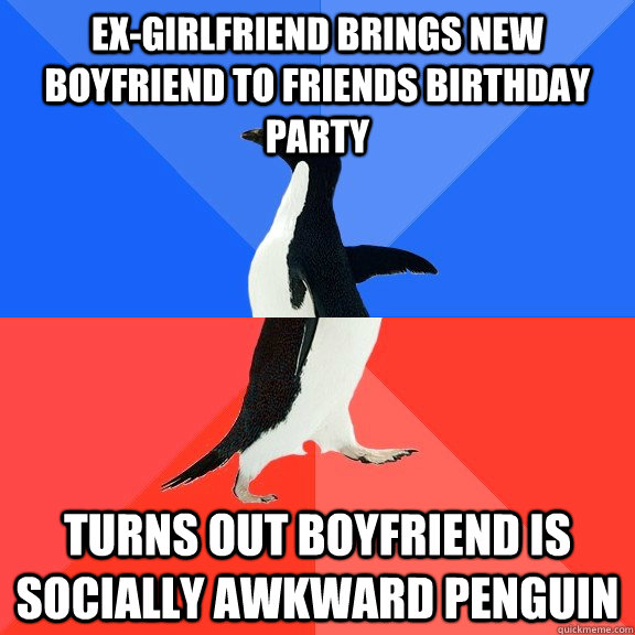 Ex-girlfriend brings new boyfriend to friends birthday party turns out boyfriend is socially awkward penguin  Socially Awkward Awesome Penguin