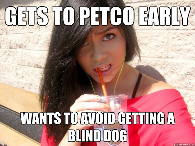 Gets to Petco early Wants to avoid getting a blind dog - Gets to Petco early Wants to avoid getting a blind dog  Almost Decent Alyssa