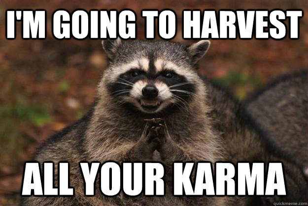 I'm going to harvest all your karma  Evil Plotting Raccoon