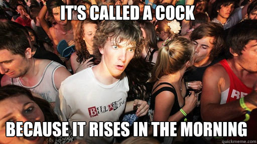 It's called a cock because it rises in the morning  Sudden Clarity Clarence