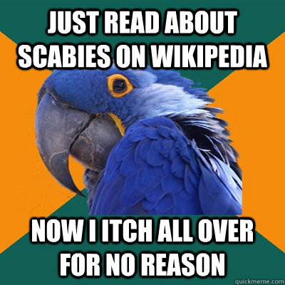 Just read about scabies on Wikipedia now i itch all over for no reason - Just read about scabies on Wikipedia now i itch all over for no reason  Paranoid Parrot