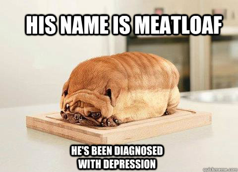 His name is meatloaf He's been diagnosed with depression - His name is meatloaf He's been diagnosed with depression  Meatloaf
