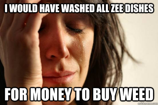 I would have washed all zee dishes for money to buy weed  First World Problems