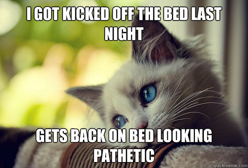 I got kicked off the bed last night
 gets back on bed looking pathetic  First World Problems Cat