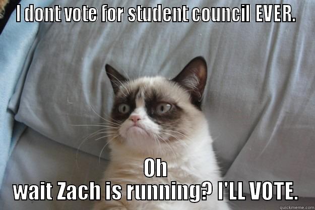 I DONT VOTE FOR STUDENT COUNCIL EVER. OH WAIT ZACH IS RUNNING? I'LL VOTE. Grumpy Cat