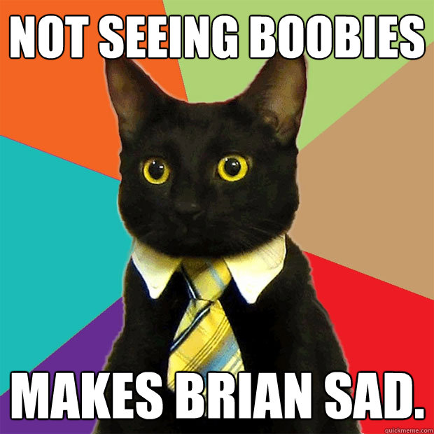 not seeing boobies makes brian sad.  Business Cat