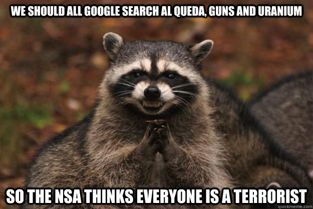 We should all google search Al Queda, Guns and Uranium So the NSA thinks everyone is a terrorist  Evil genius racoon