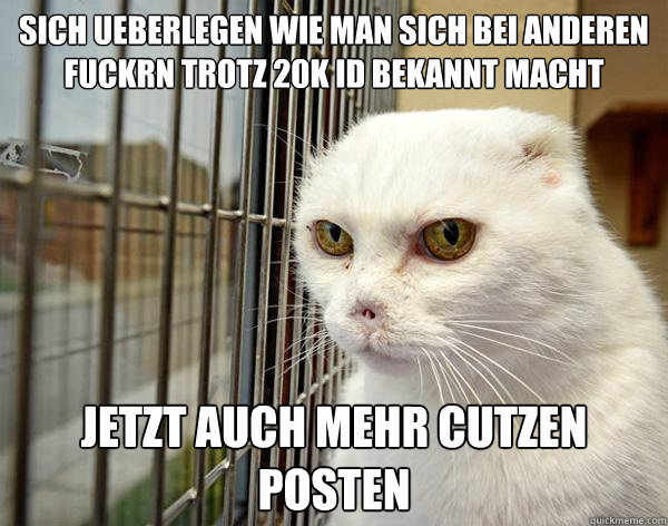 Sich ueberlegen wie man sich bei anderen fuckrn trotz 20k id bekannt macht jetzt auch mehr cutzen posten  Jail Cat