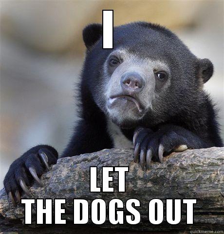 I LET THE DOGS OUT Confession Bear