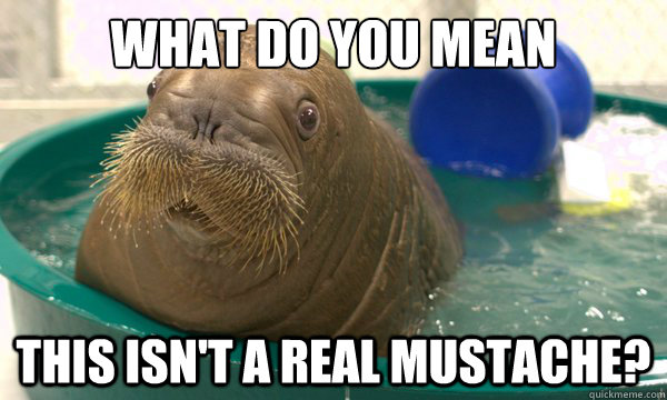 What do you mean This isn't a real mustache?  
