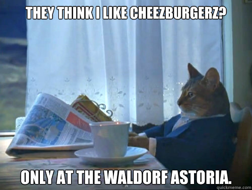 They think I like cheezburgerz? Only at the Waldorf Astoria.  The One Percent Cat
