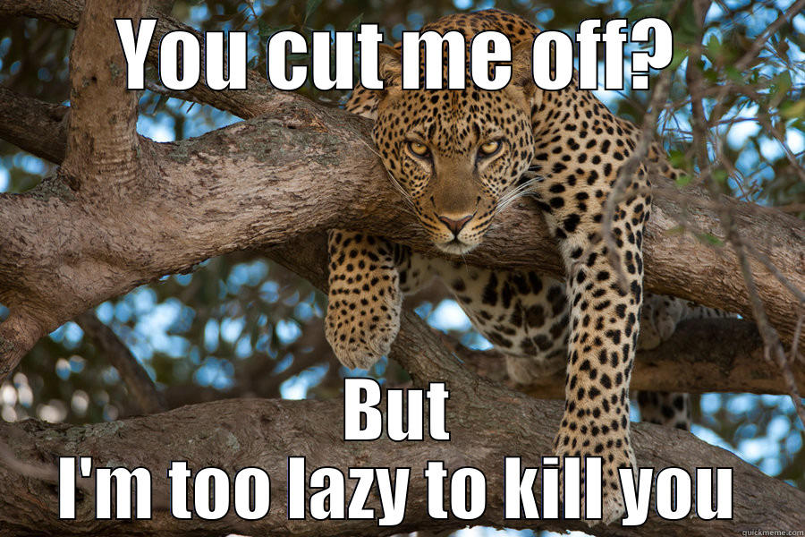 Lazy leopard - YOU CUT ME OFF? BUT I'M TOO LAZY TO KILL YOU Misc