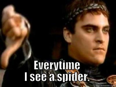 Everytime I see a spider -  EVERYTIME I SEE A SPIDER. Downvoting Roman