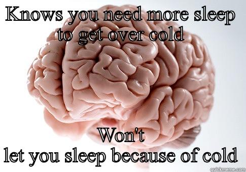 KNOWS YOU NEED MORE SLEEP TO GET OVER COLD WON'T LET YOU SLEEP BECAUSE OF COLD Scumbag Brain