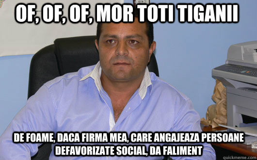 Of, Of, Of, Mor toti tiganii de foame, daca firma mea, care angajeaza persoane defavorizate social, da faliment  Omul de Afaceri Rrom